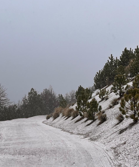 Mantiene Protección Civil operativo de prevención y vigilancia en el Parque Nacional Nevado de Colima