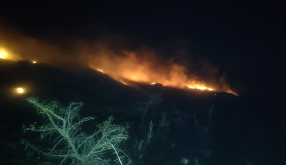 ¿Vives en la Región Valles? Esta información puede interesarte