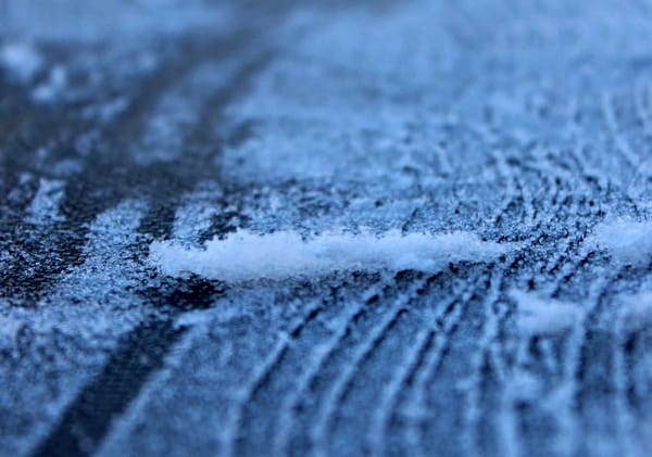 Registro de heladas y bajas temperaturas en Jalisco